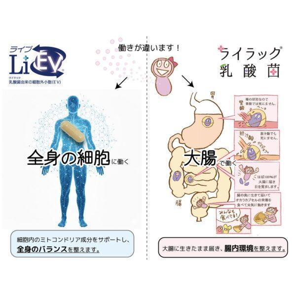 定期セット割 - ＬｉＥＶ - 画像 (3)
