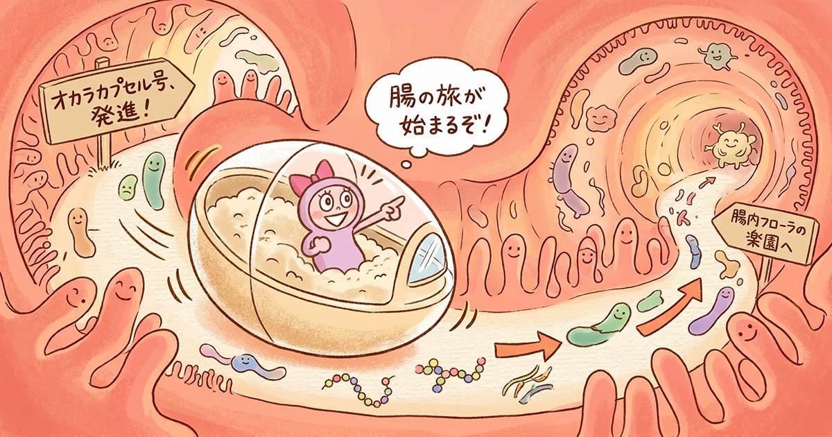 ライラちゃんが案内する、オカラカプセルの腸内の旅